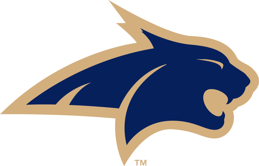 Montana State Bobcats 2006-2013 Alternate Logo v3 iron on transfers for T-shirts